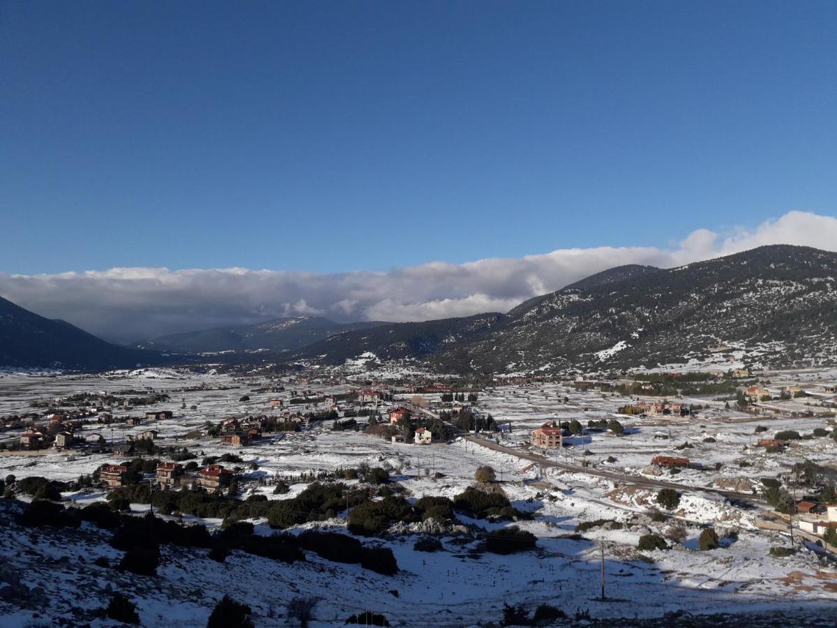 Apartment Traditional House Kalivia (Voiotia)
